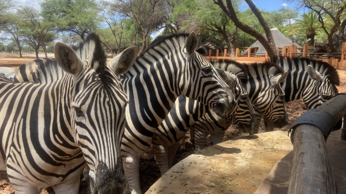 Фото из архива Клуба