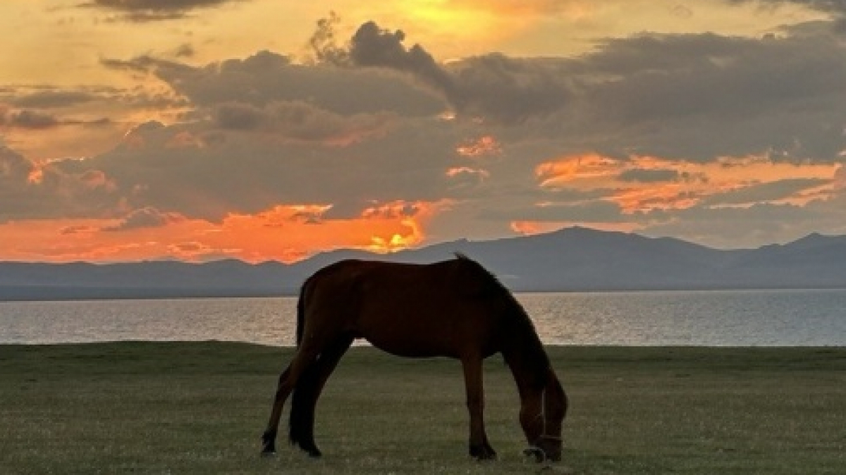 Фото нашей Странницы Ольги Артеменковой