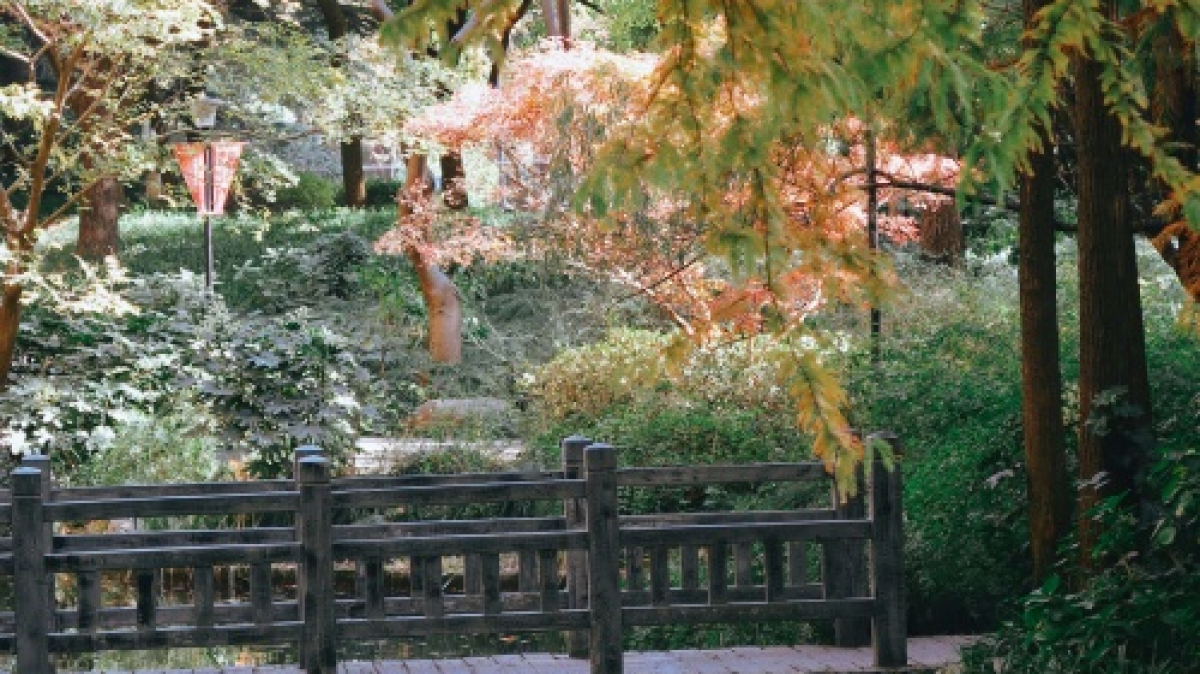 Фото: Danie LIU, unsplash.com