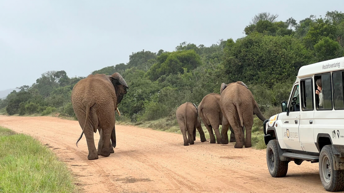 Фото: наш гид Алексей Шорец