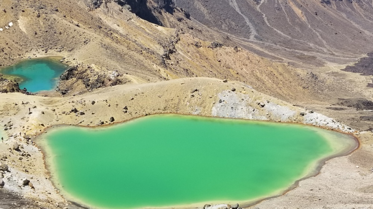 Фото: JustGoThere.NZ