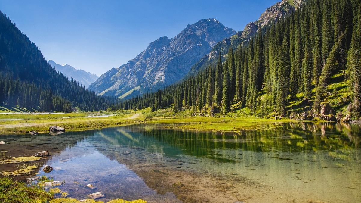 Фото: Самарин Михаил