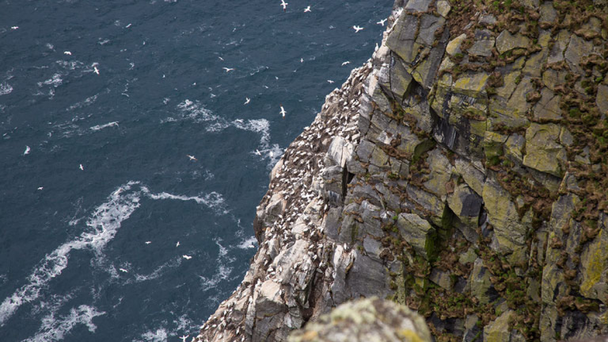 Фото нашей Странницы Татьяны Руновой