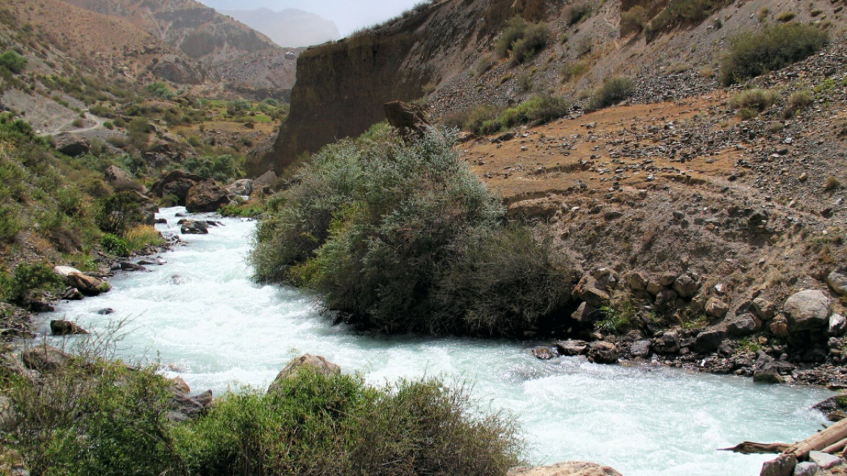 Фото из архива