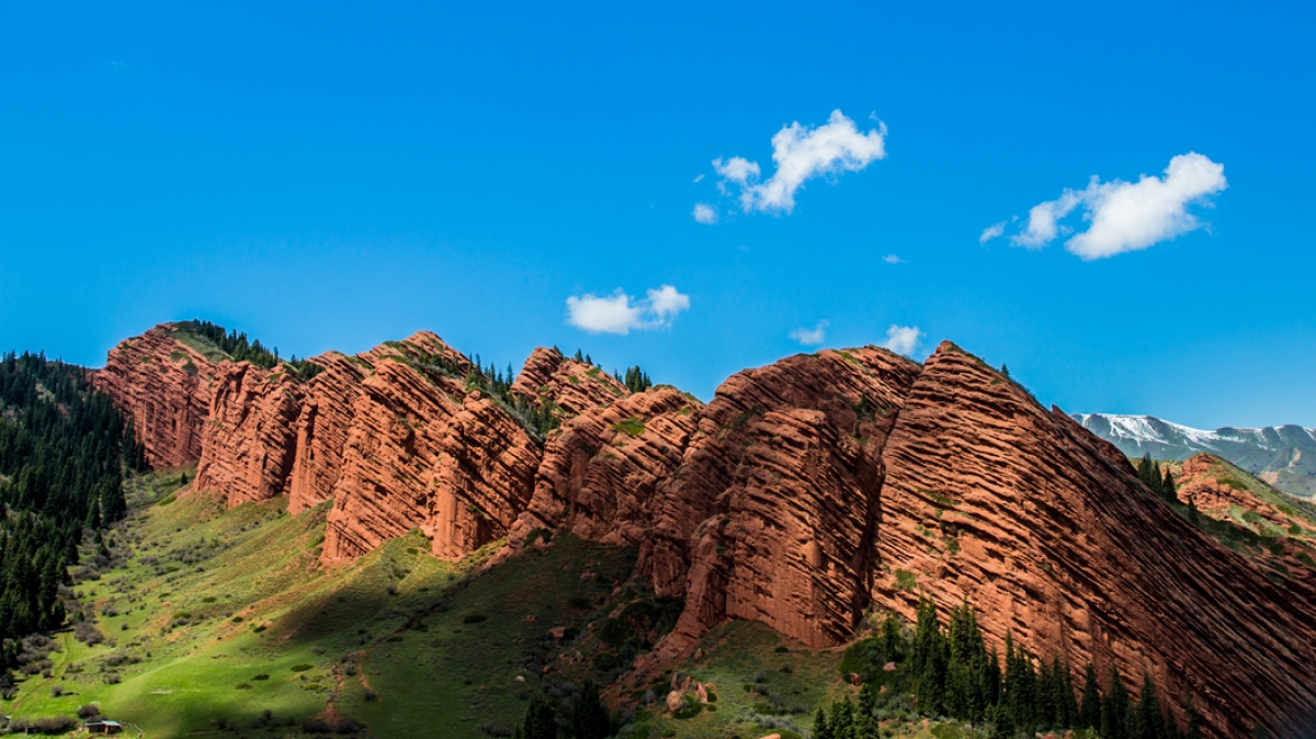 Семь быков. Фото: Ирина Елизарова