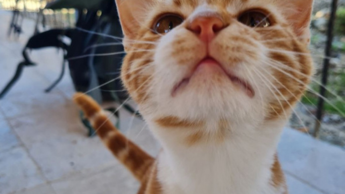 Фото нашей Странницы Полины Пономарёвой