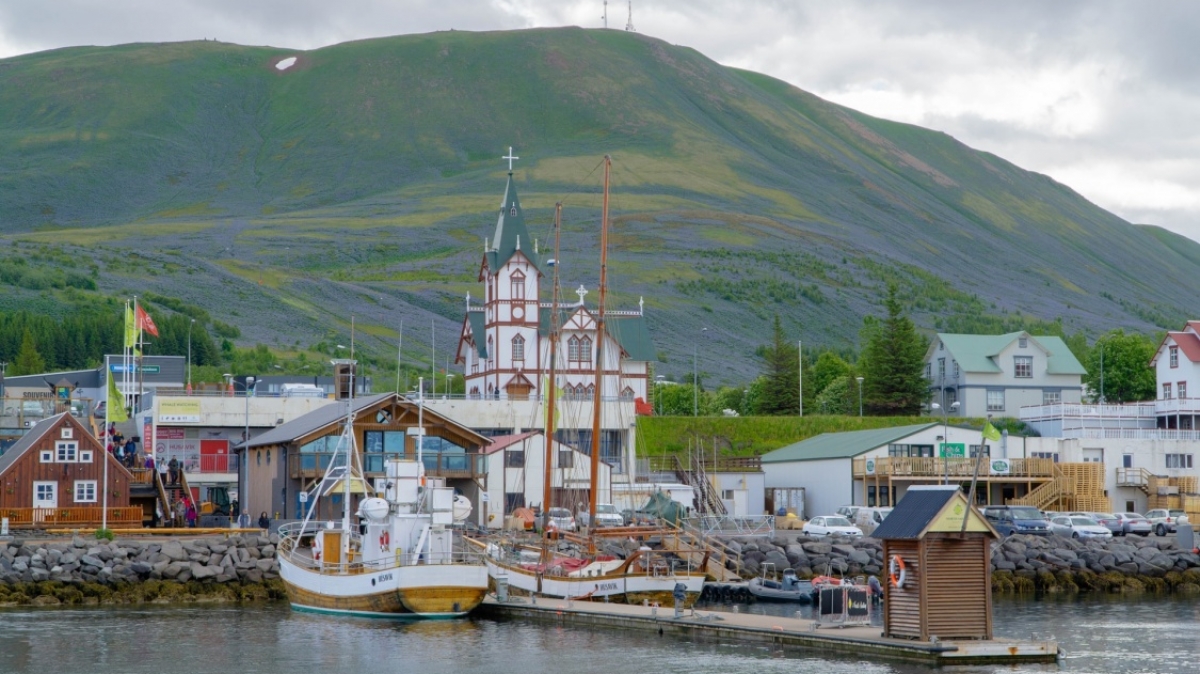 Фото: Maarten Wijnants, unsplash.com