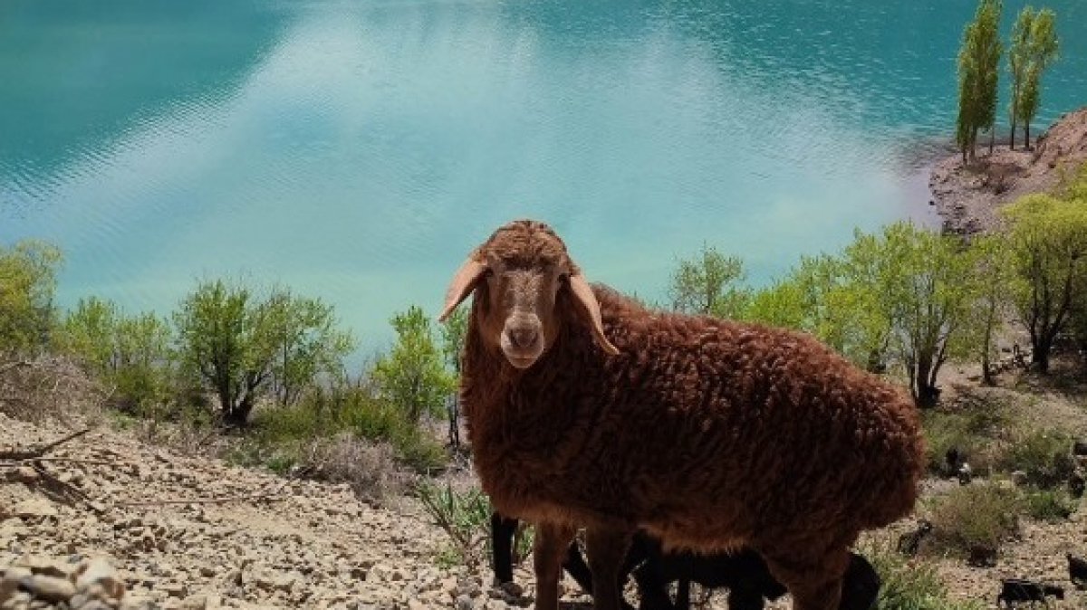 Фото нашей Странницы Анастасии Ершовой
