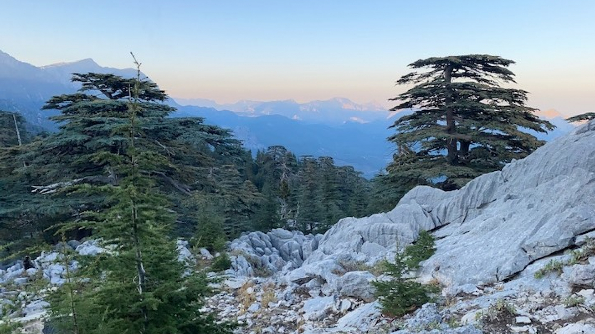 Фото нашего гида Артёма Тарабукина