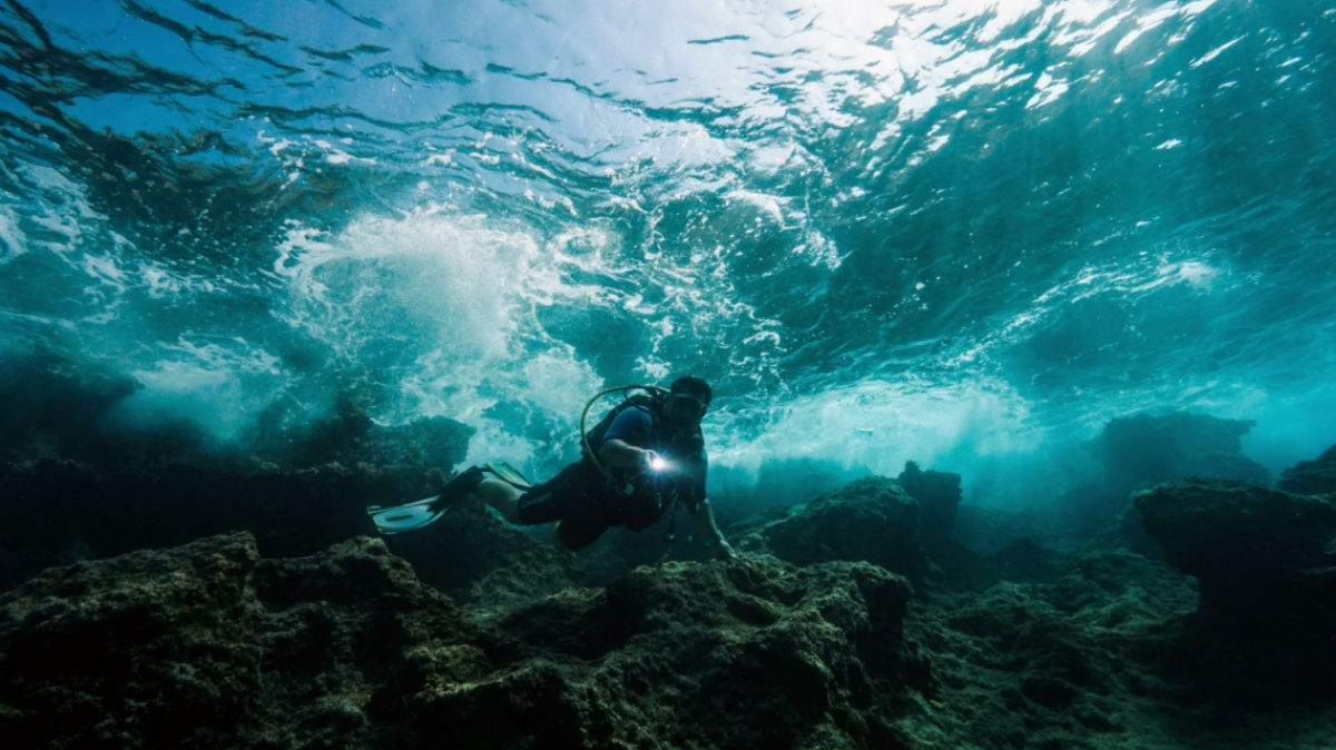 Фото: Bougainville trevel