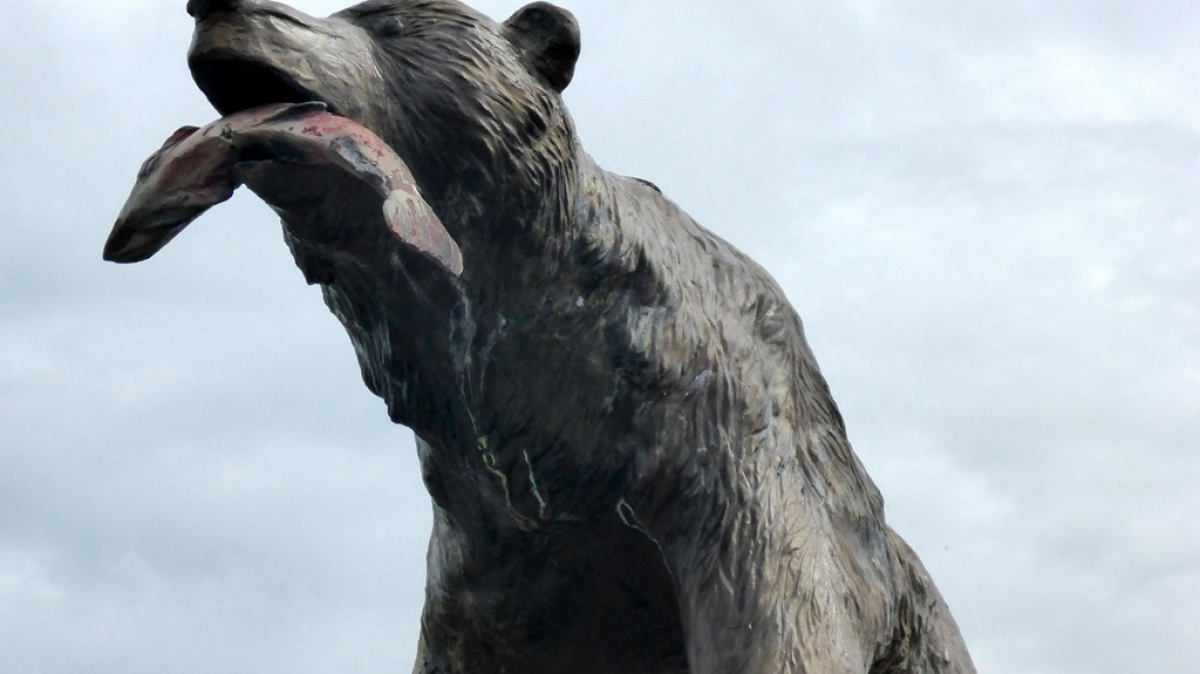 Petropavlovsk-Kamchatsky. Photo by our tourist Aleksandr Panchenko