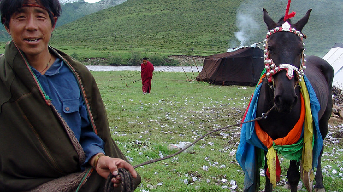 Фото: Tianjin24 on VisualHunt