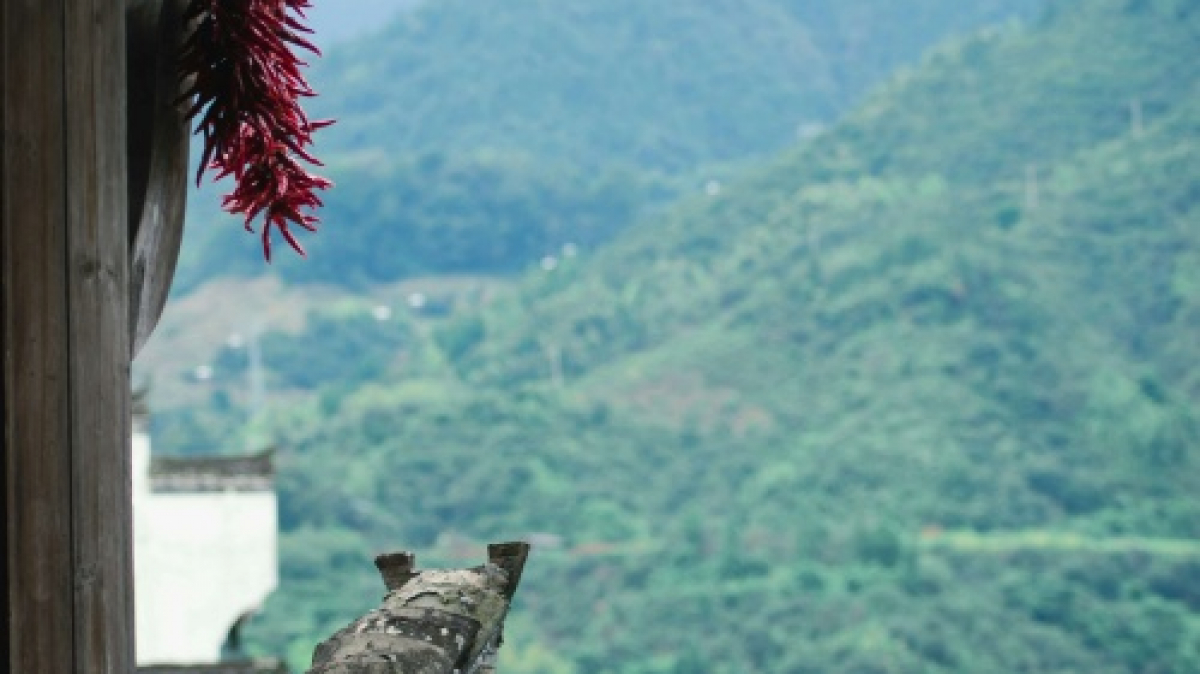 Фото: Lin Qiu Yi Wan, unsplash.com