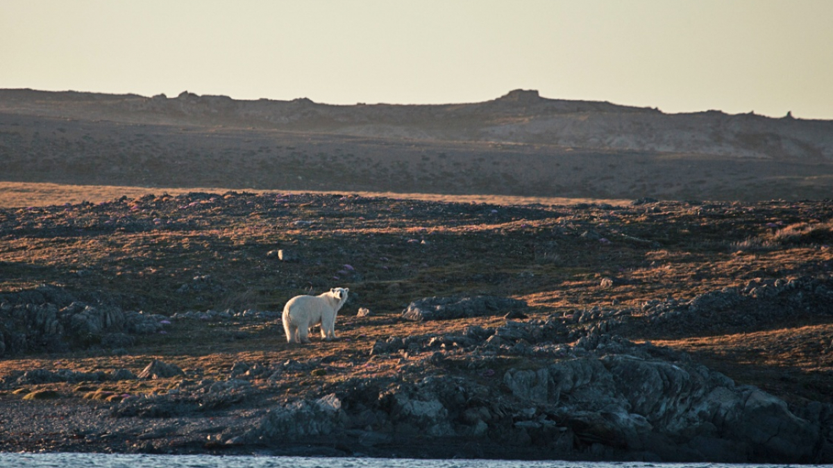 Фото из архива Клуба