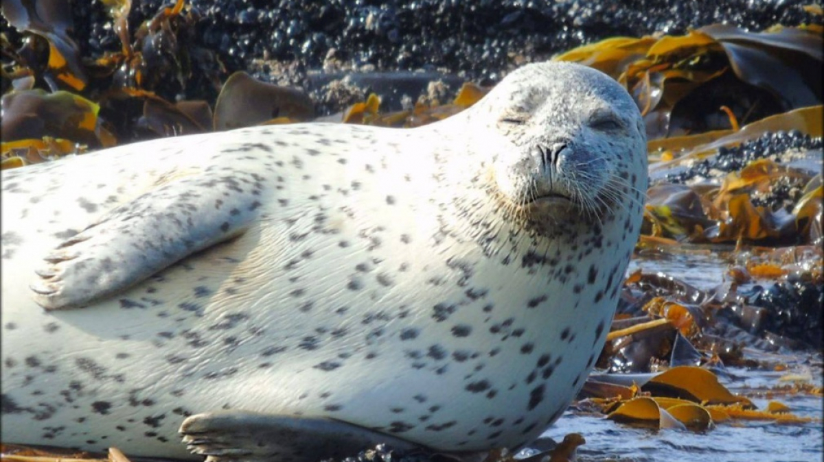 Photo by our tourists