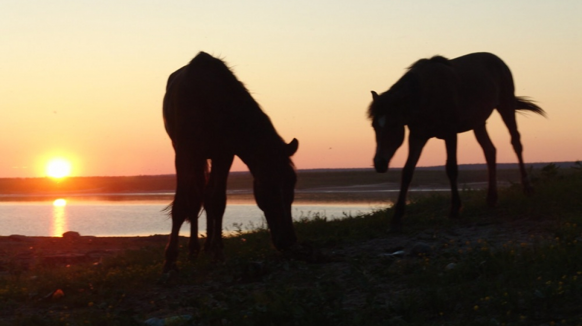 Нарьян-Мар. Фото: taras.rynza, visualhunt.com