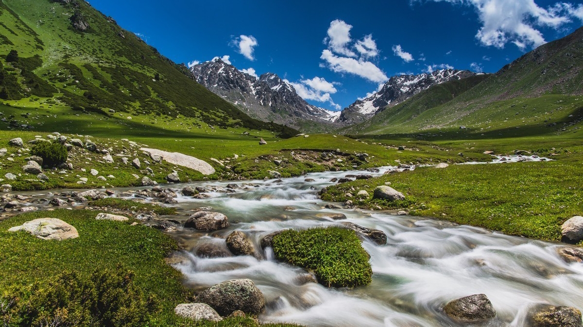 Фото: Самарин Михаил