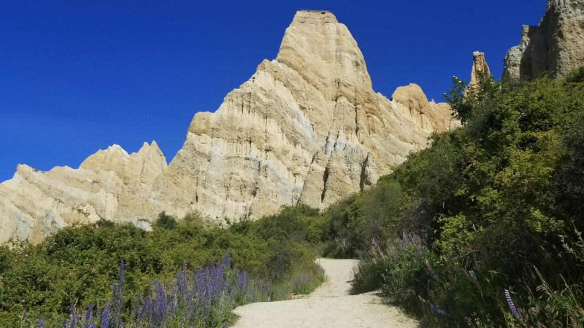 Фото: JustGoThere.NZ