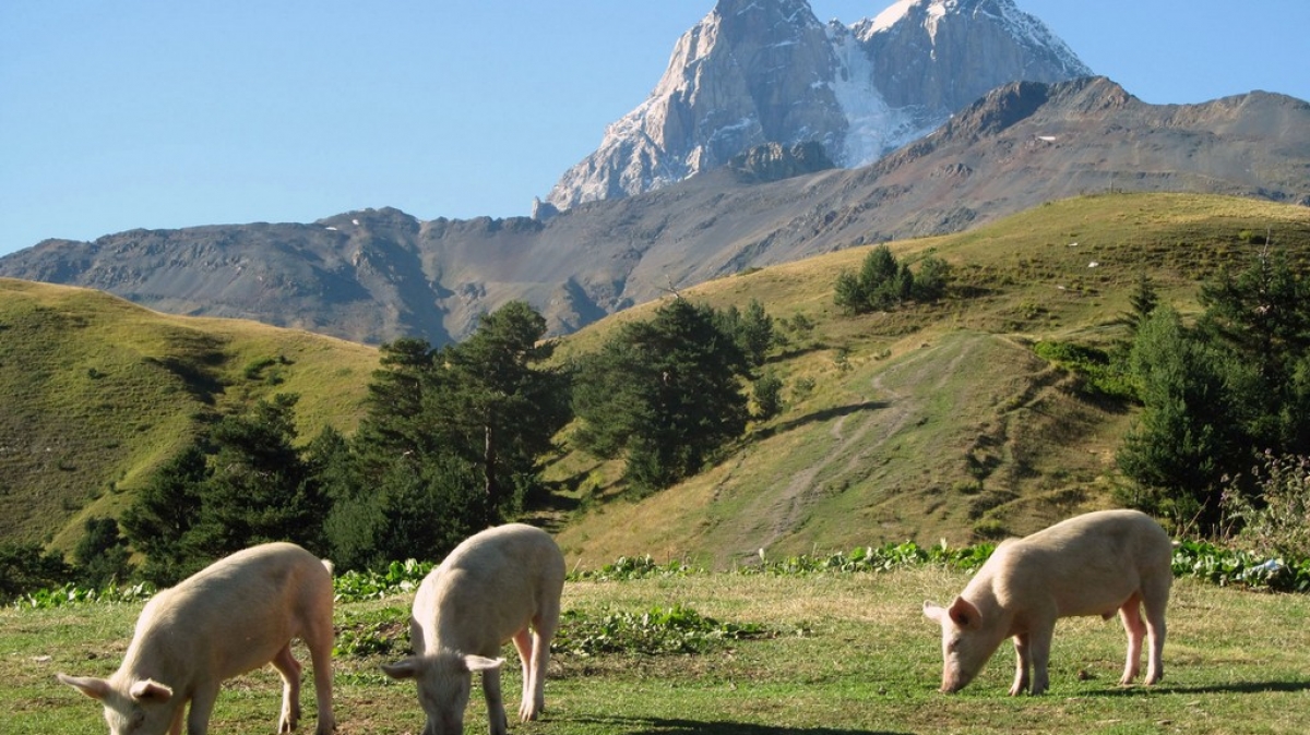 Фото нашего гида Ирины Пряничниковой.