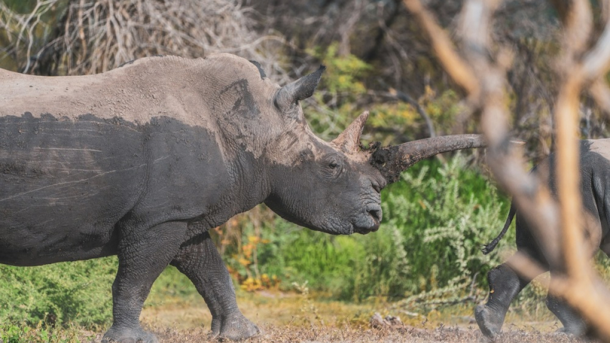 Фото Еelco Вohtlingk для Unsplash.com