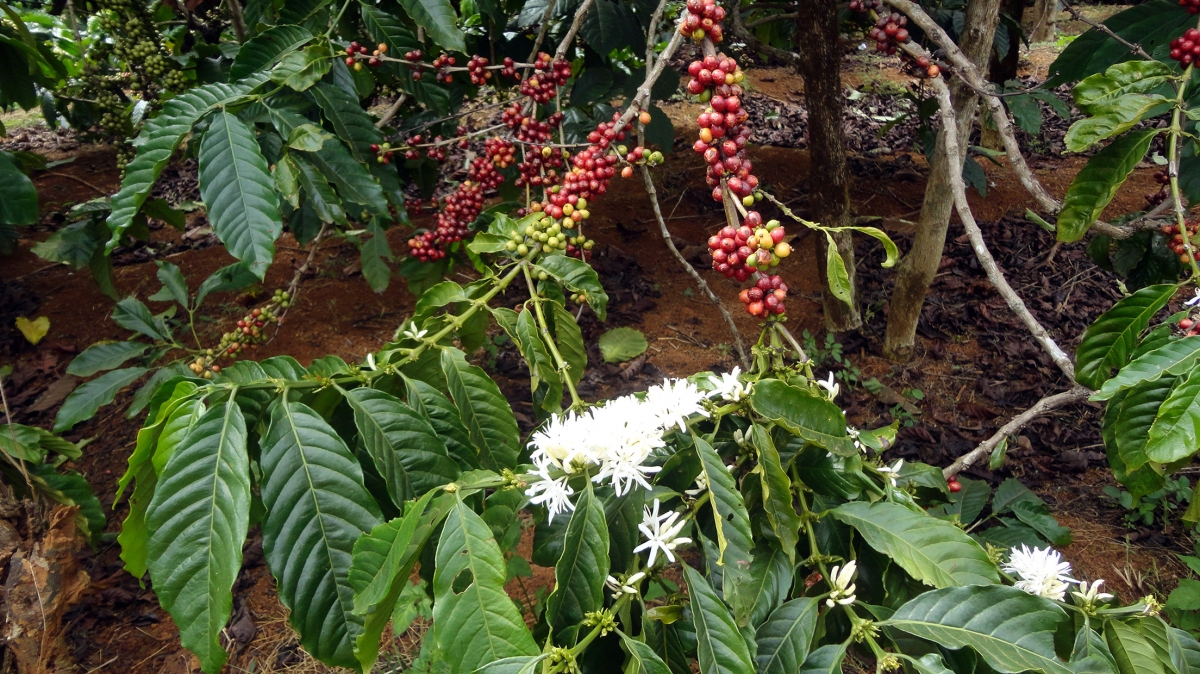 Фото нашего гида Лики Майстровой