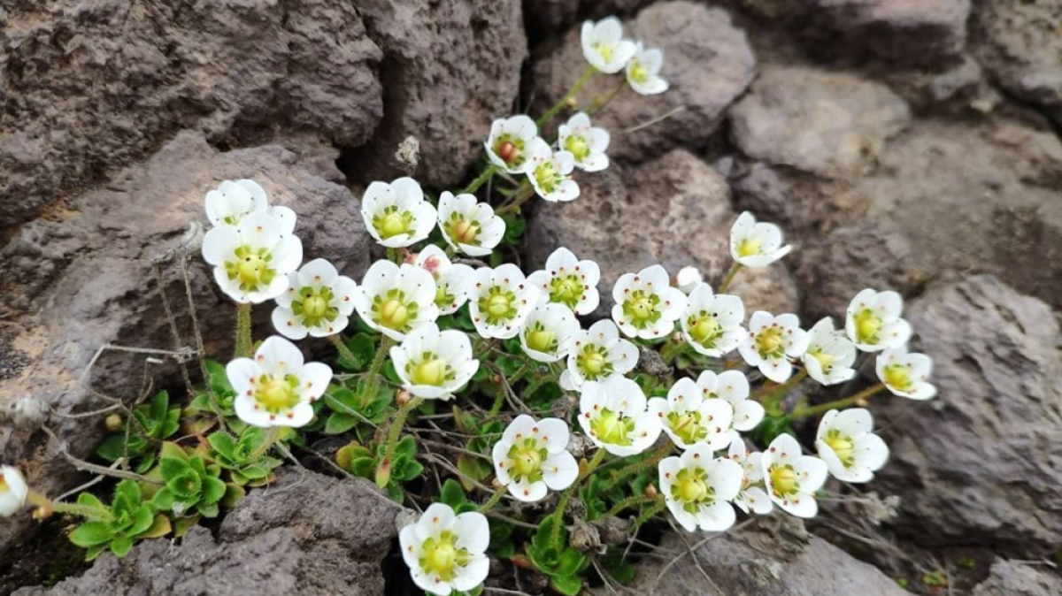 Photo by our guide Evgenia Skopina