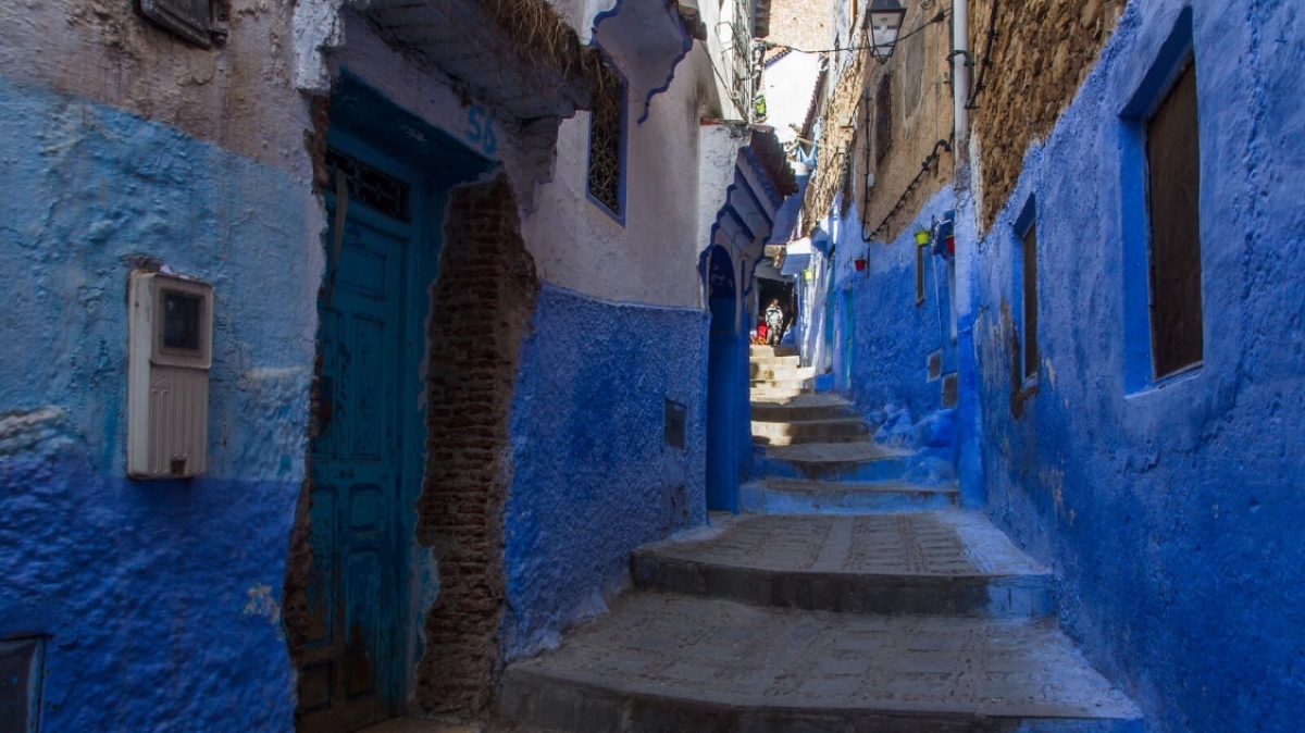 Фото: cat_collector, visualhunt.com