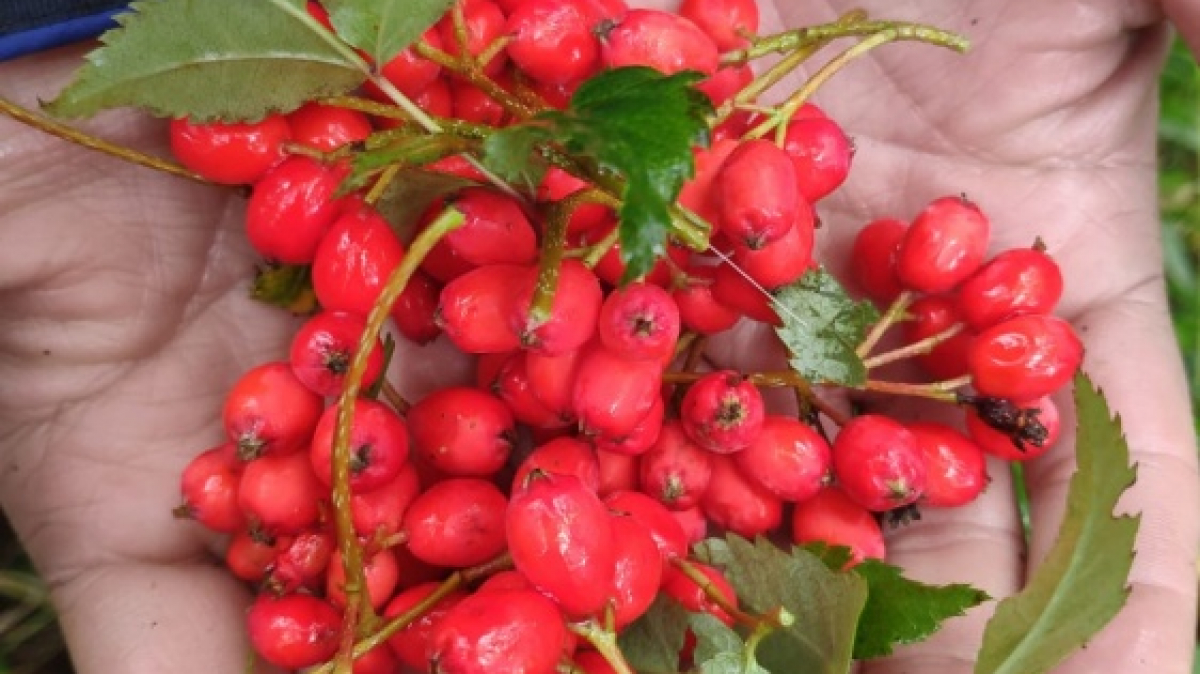 Photo by our guide Evgenia Skopina