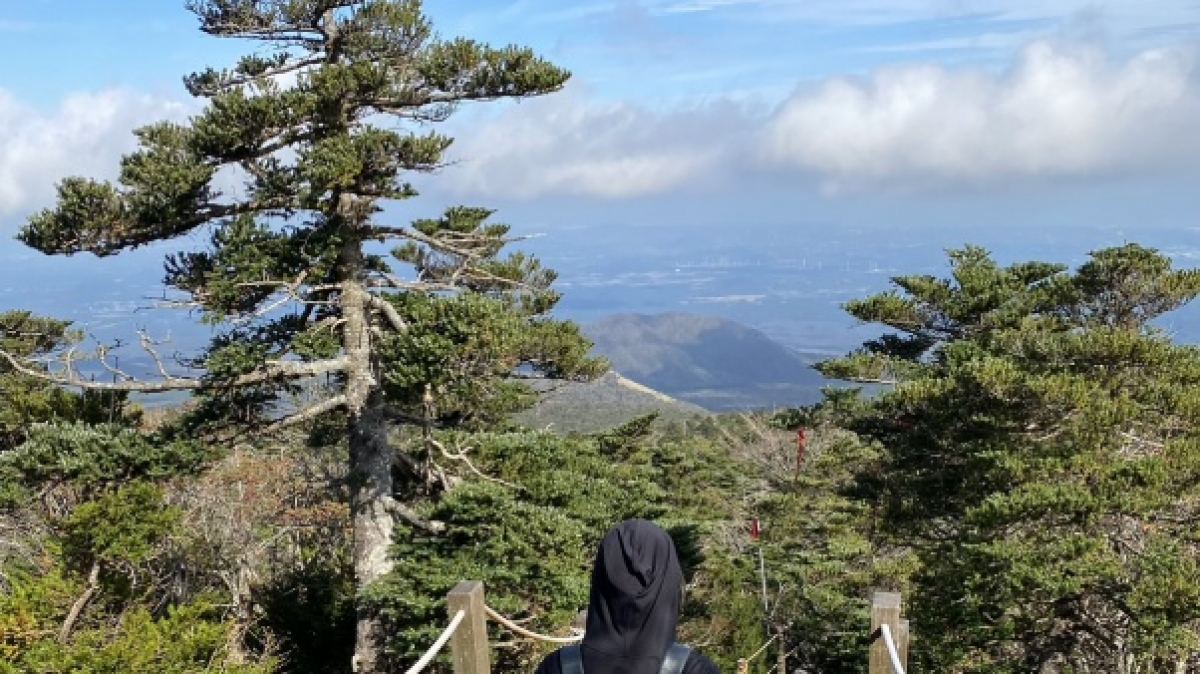 Фото: Sharon Hahn Darlin, visualhunt.com