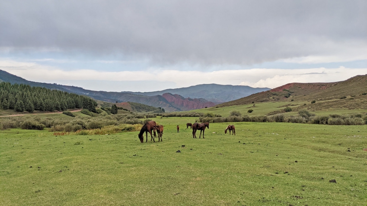 Фото наших Странников