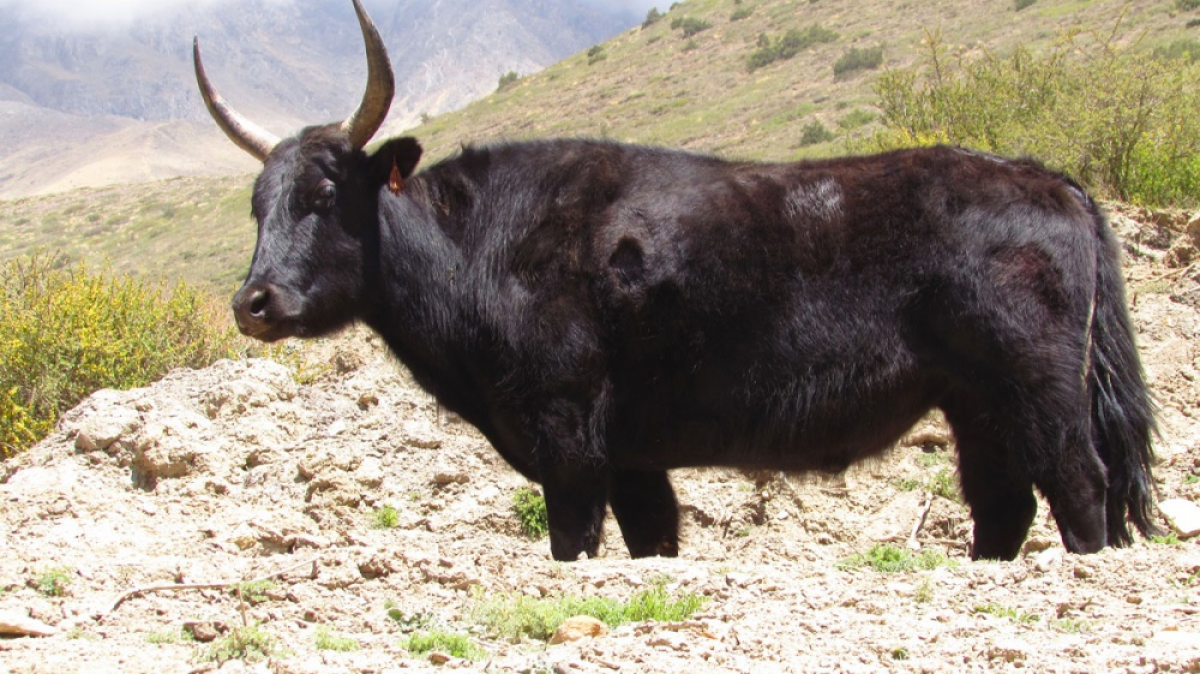 Photo by our guide Lika Maystrova