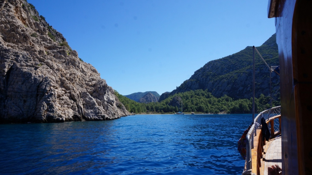 Фото Светланы Тягиной