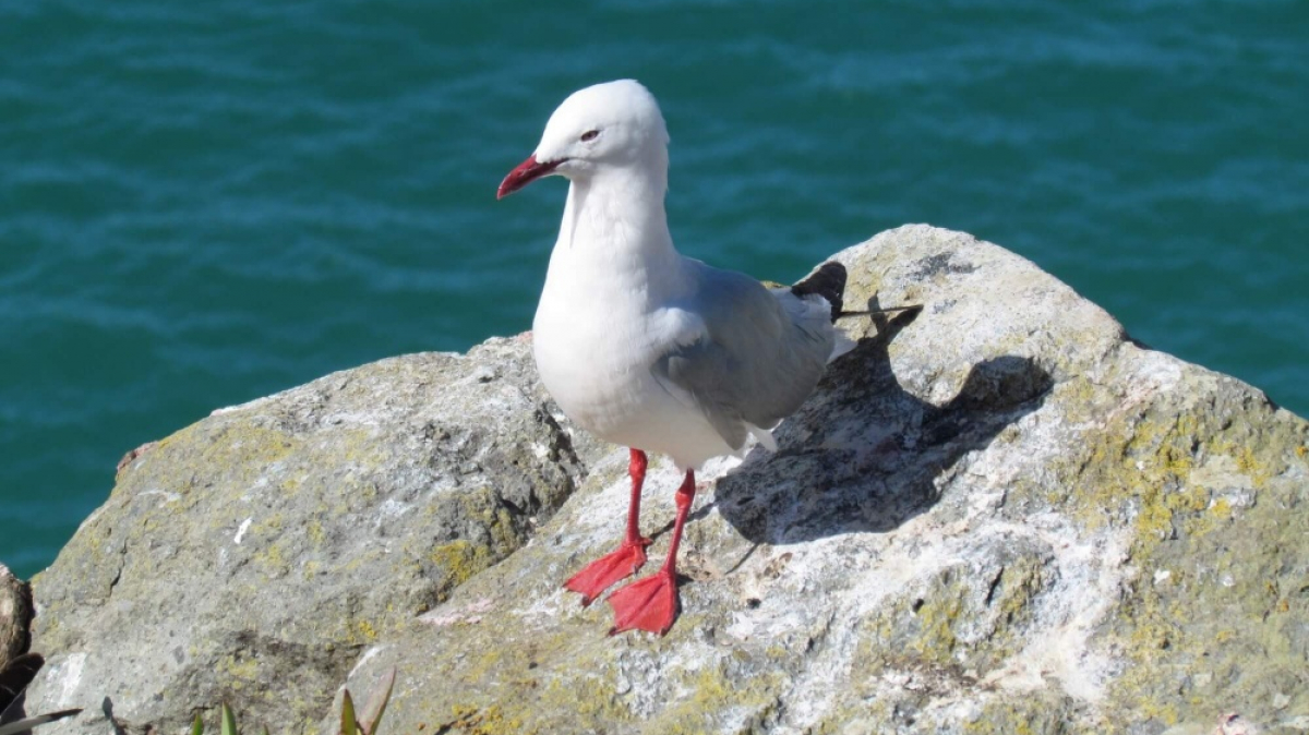 Фото из архива Клуба