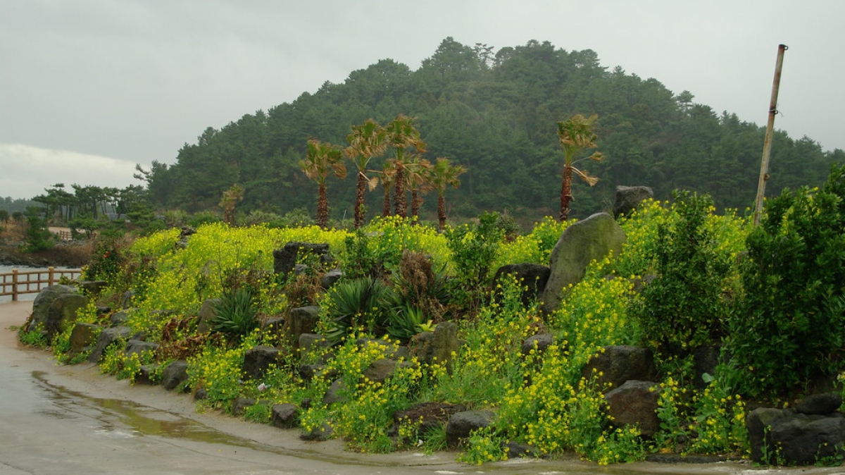 Источник фото: visualhunt.com