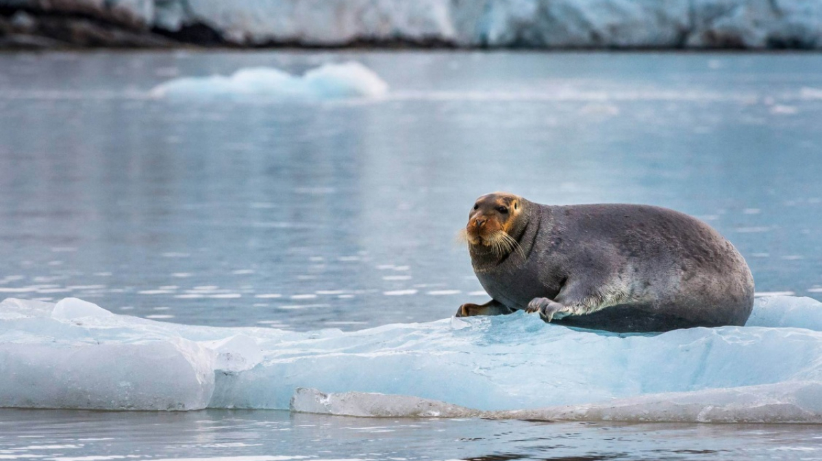 Фото из архива клуба