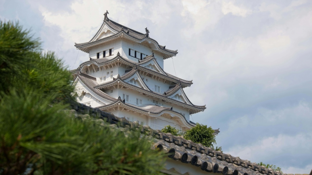 Фото momo, pexels.com