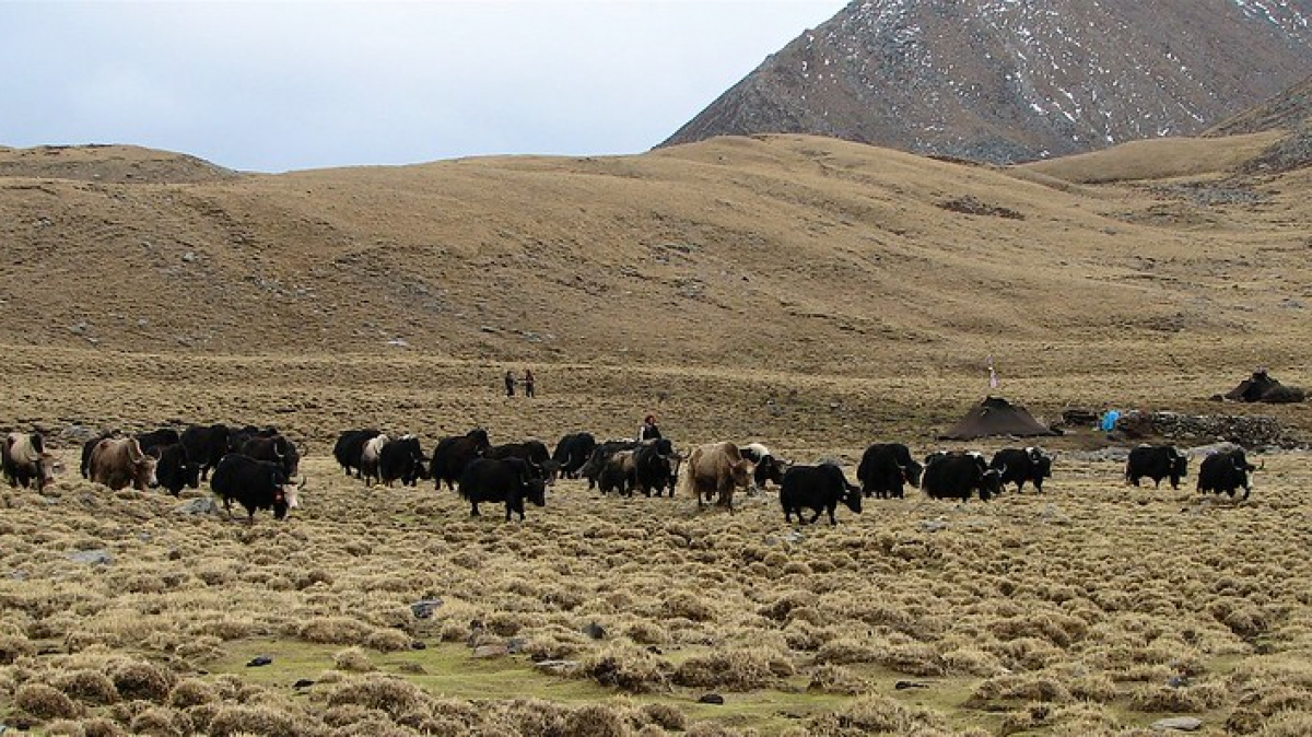 Фото: mckaysavage on Visualhunt