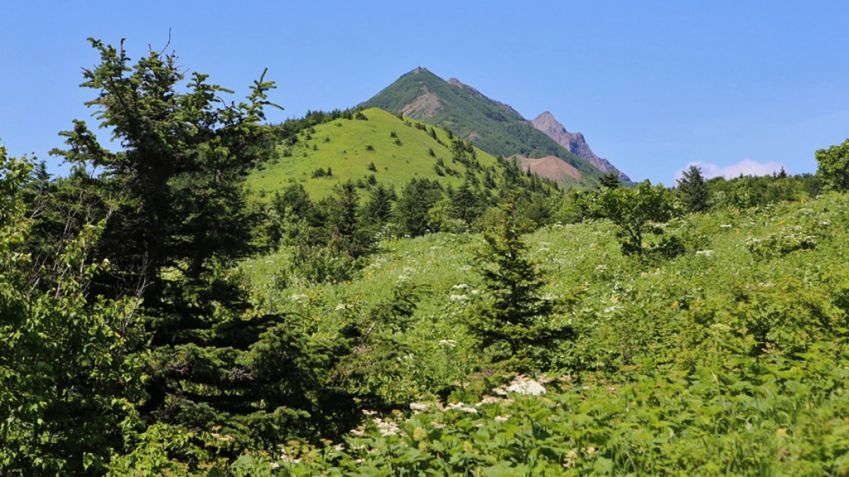 Фото из архива Клуба