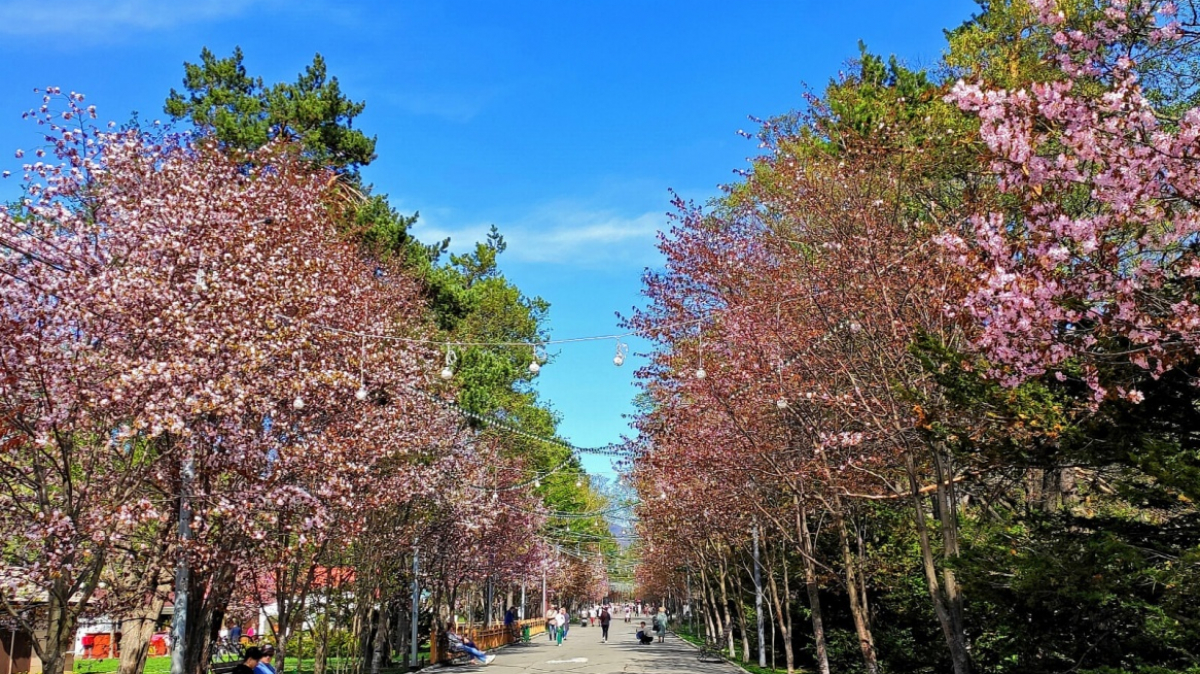 Фото из архива Клуба