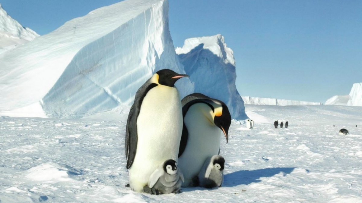 Фото из архива Клуба