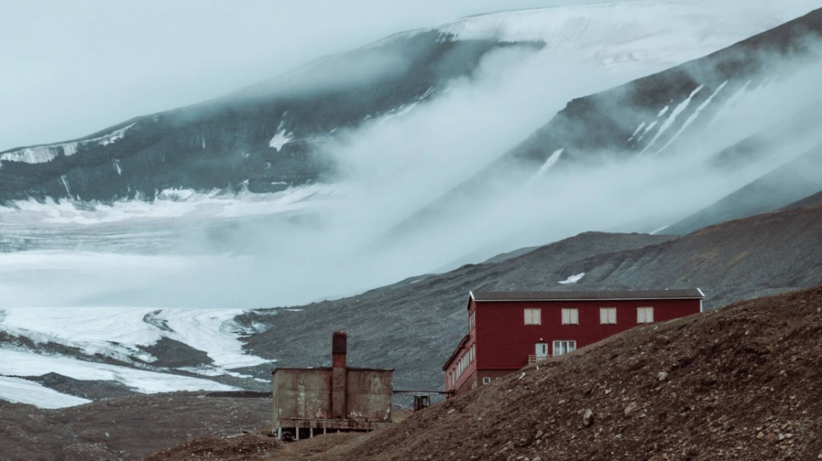 Фото: Sebastian Bjune, unsplash.com