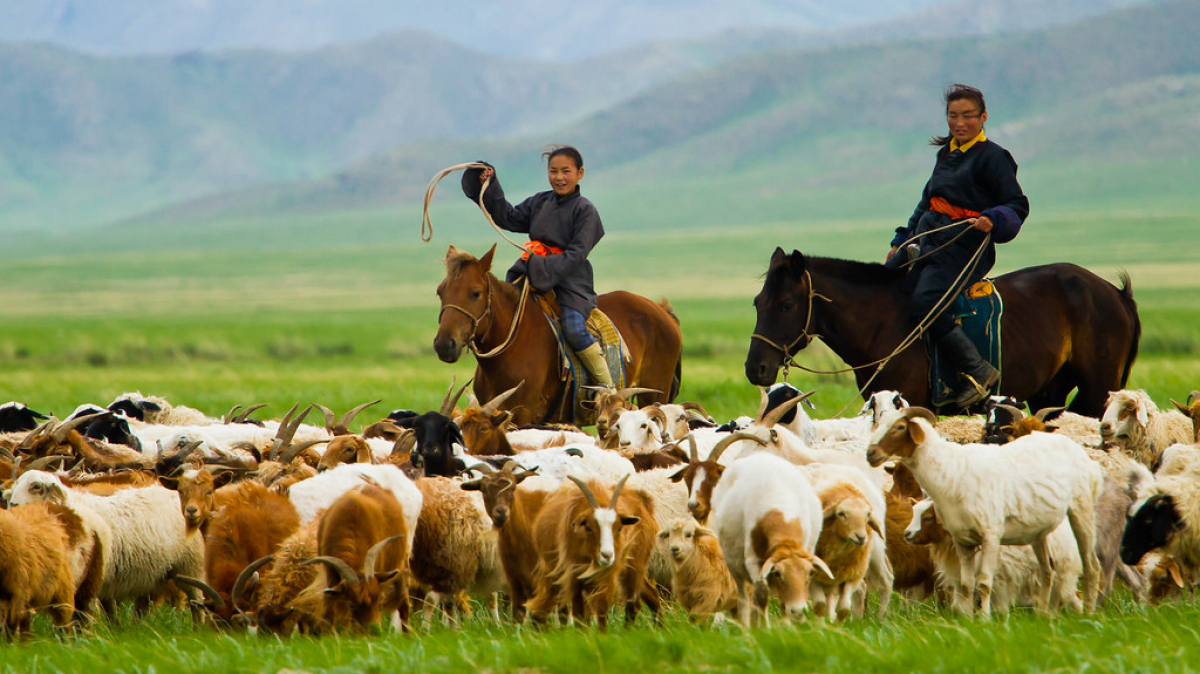 Фото: Paulo Fassina on VisualHunt