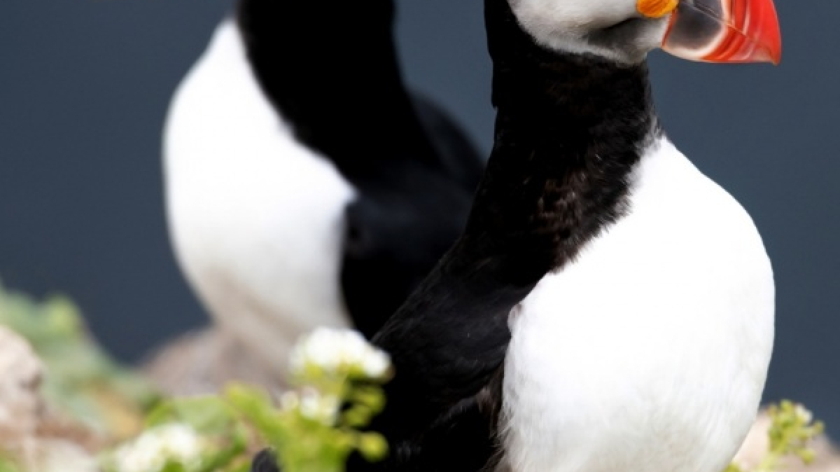 Фото из архива Клуба