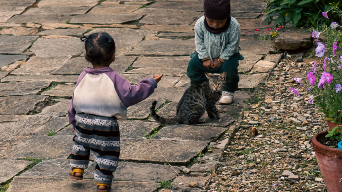 Фото нашего Странника Станислава Дышева
