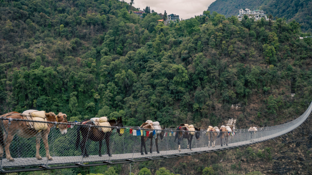 Фото нашего Странника Станислава Дышева
