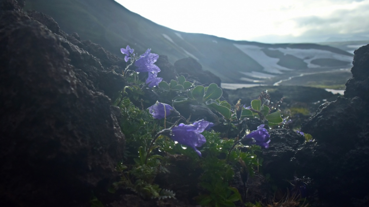 Photo by our tourist Natalia Kravchenko