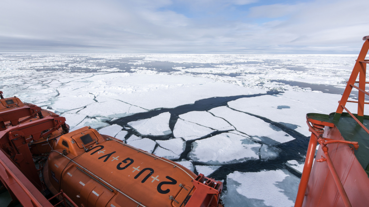 Фото: Christopher.Michel, visualhunt.com