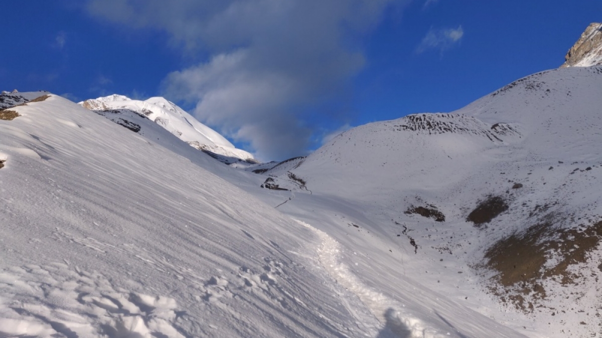 Фото: Sanjay Hona, unsplash.com