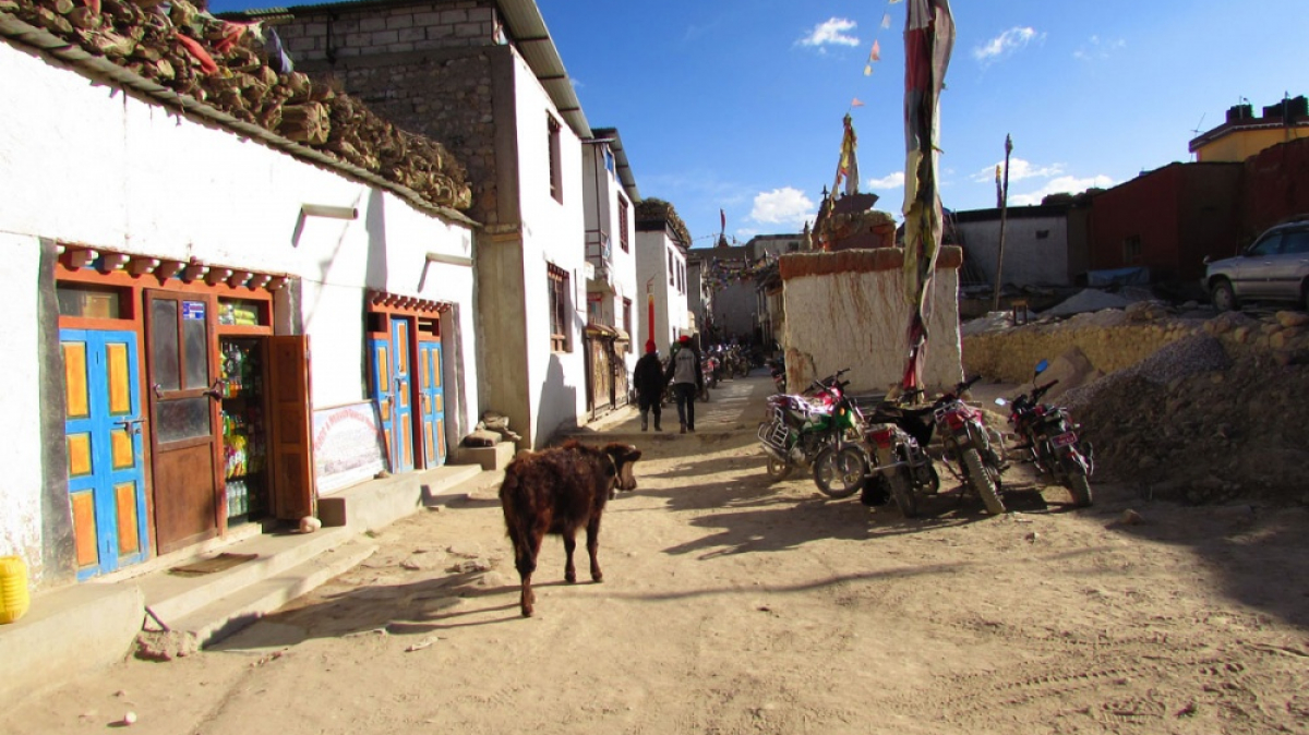 Photo by our guide Lika Maystrova