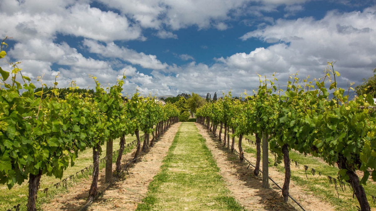 Фото нашей Странницы Татьяны Руновой